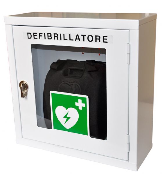 AED SKŘÍŇKA PVS SECURITY